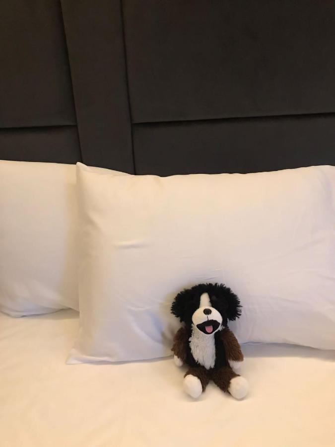 O&O Hotel Oberursel Zentrum エクステリア 写真